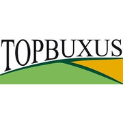 Topbuxus 