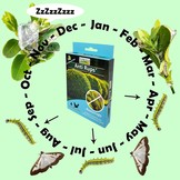 Topbuxus Anti Rups 15 gr voor 200 m²  | voorheen XenTari®