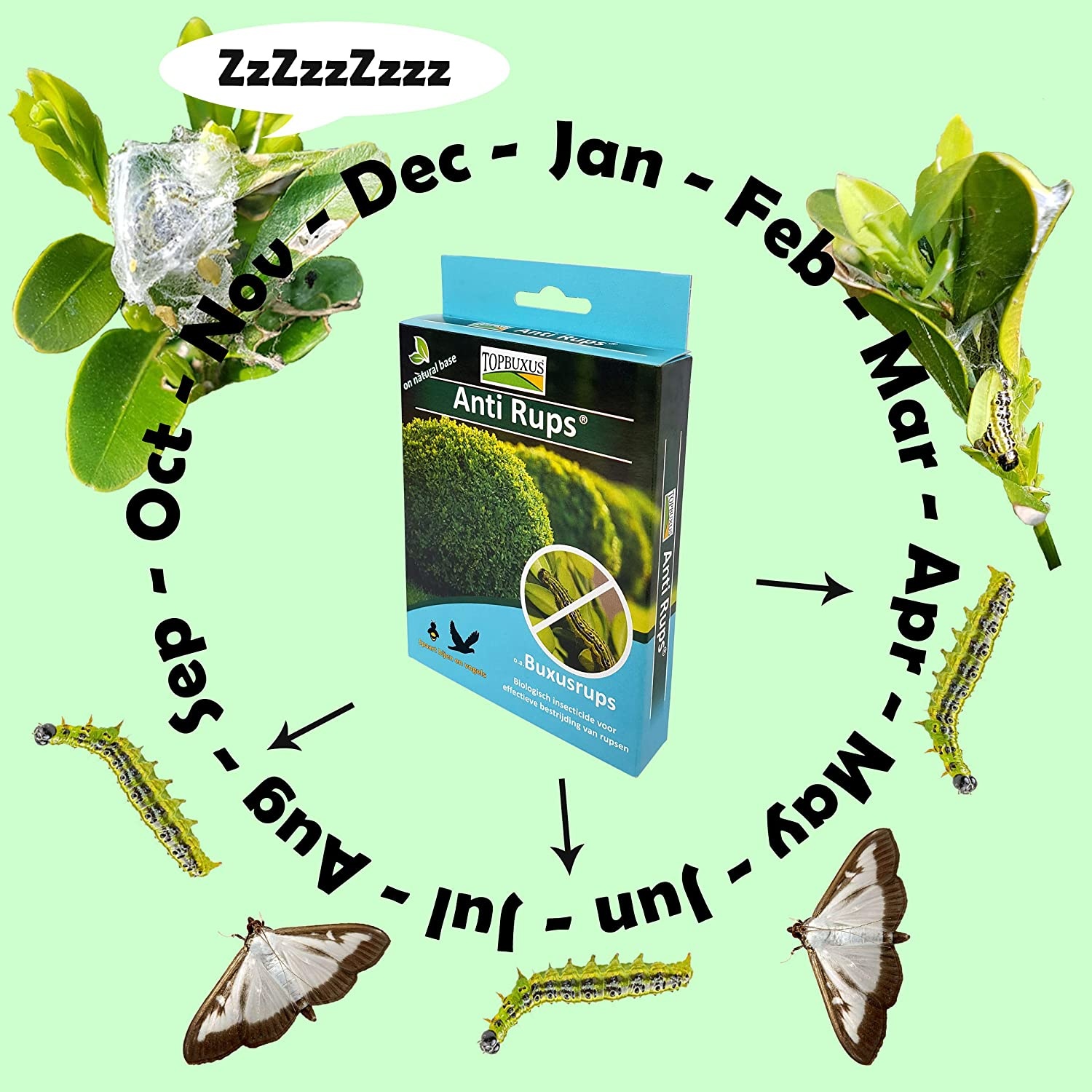 Topbuxus Anti Rups 15 gr voor 200 m²  | voorheen XenTari®