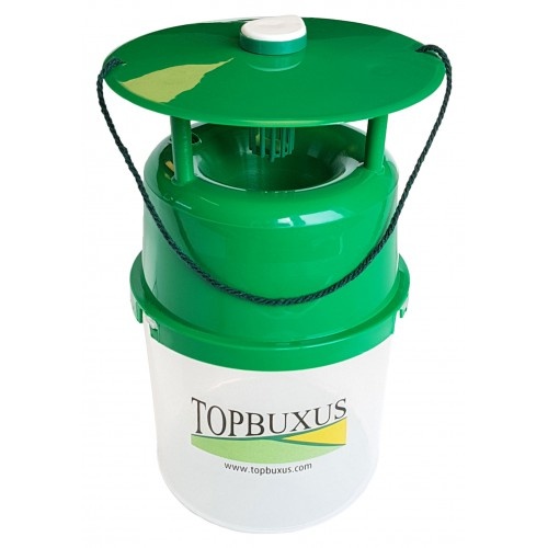 Buxus mottenval incl. lokstof voor 1 seizoen