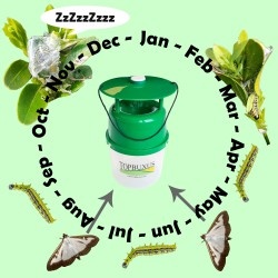 Buxus mottenval incl. lokstof voor 1 seizoen