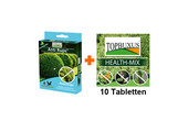 Combi topbuxus Anti Rups met 10 tabletten Health-mix
