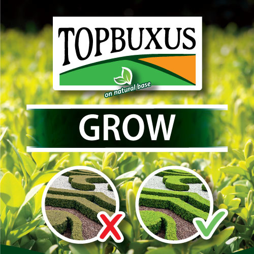 Grow 0,5 kg voor 10 m² | buxusmest