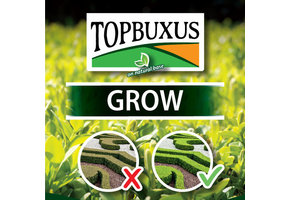 Grow 5 kg pour 100 m² de buis