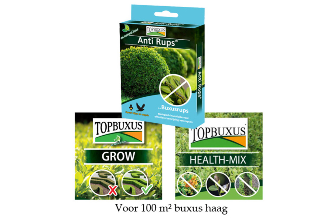 Kit mantenimiento boj 100 m² con Topbuxus Anti Rups