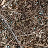 Escar-Go slakkenkorrels