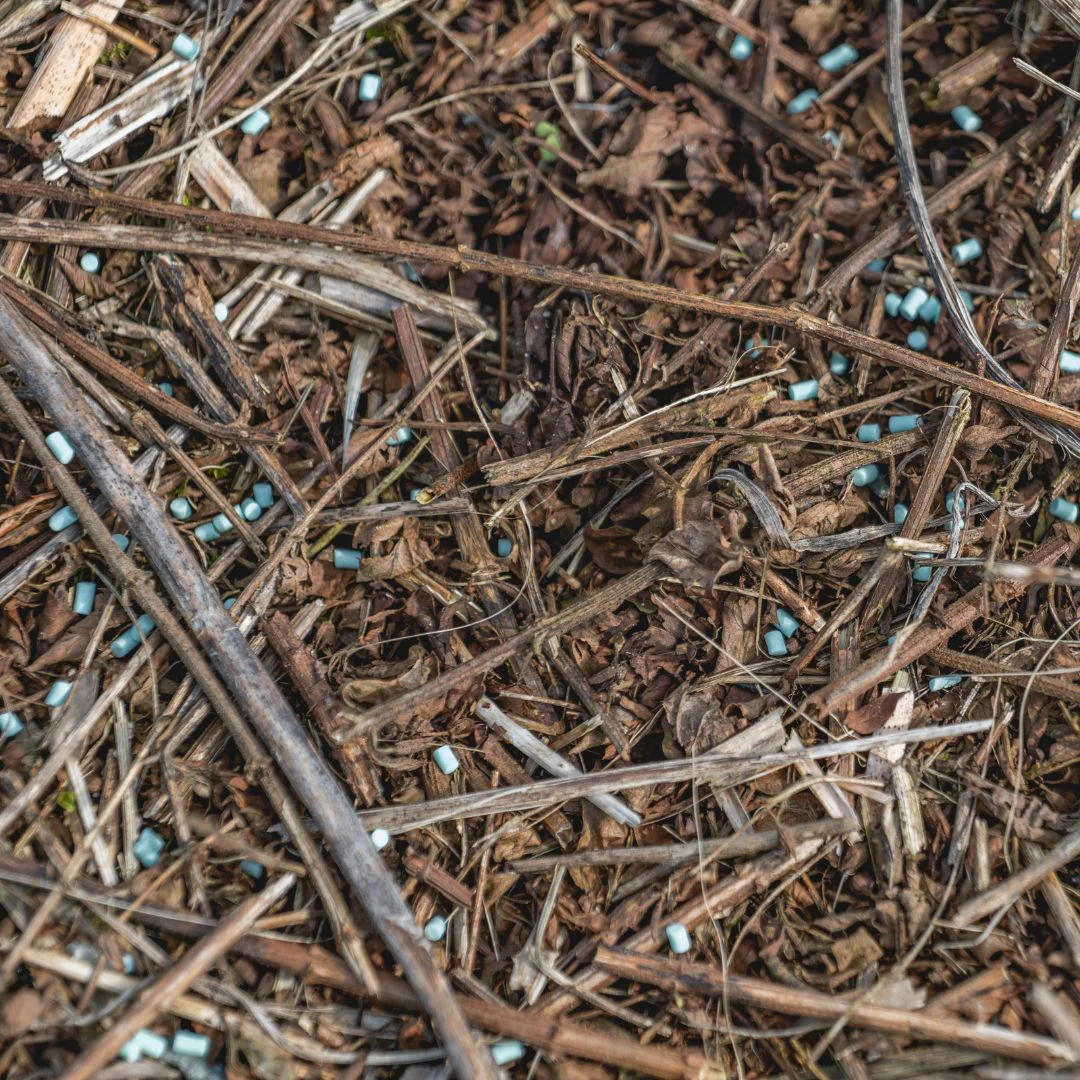 Escar-Go slakkenkorrels