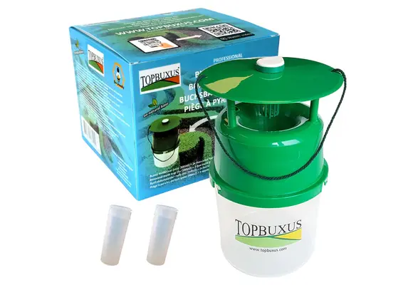 Buxus mottenval incl. lokstof voor 1 seizoen