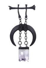 Restyle Gothic accessoires - Ketting met hanger Claws and Bones zwart