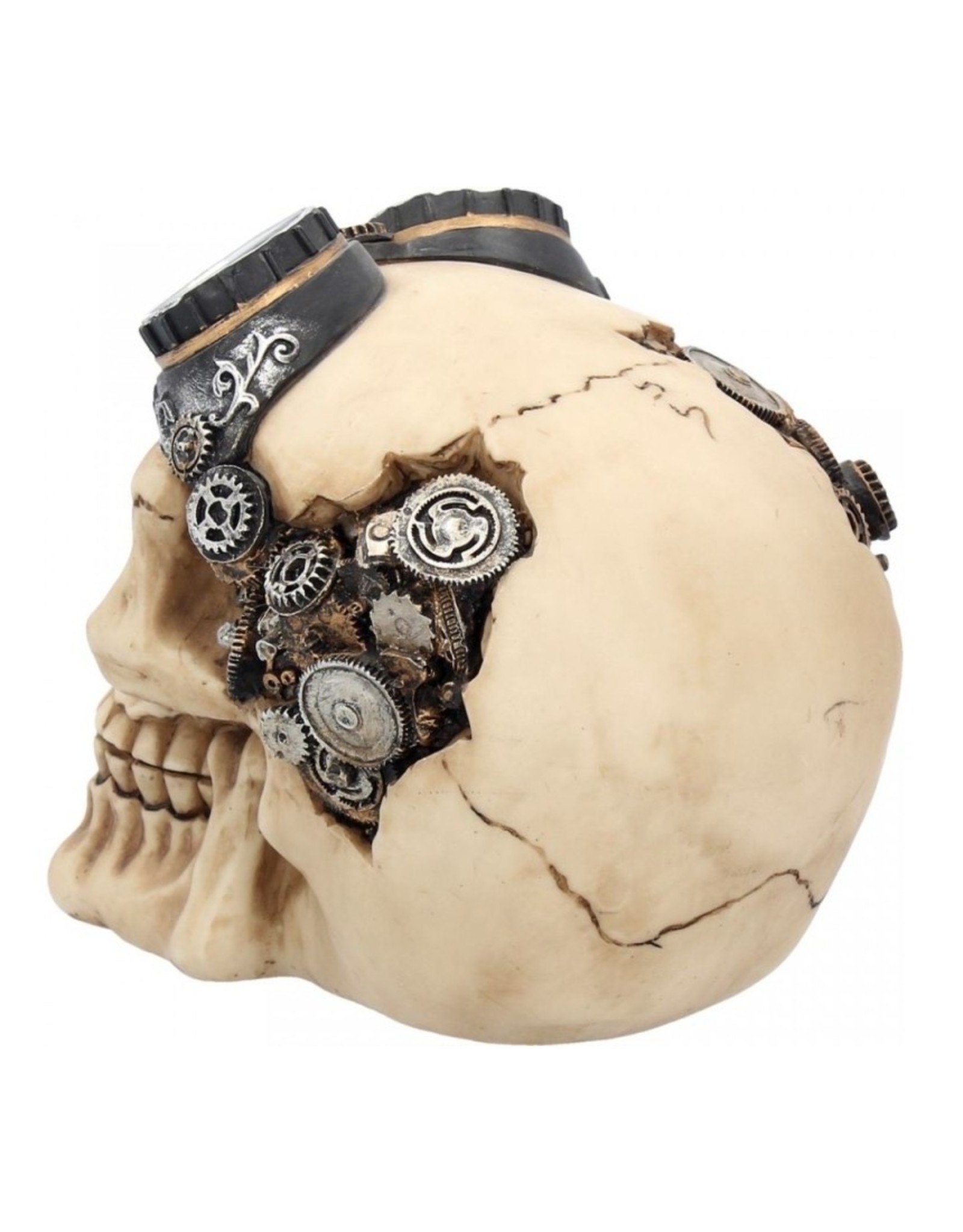 Alator Schedels - Skull Goggles