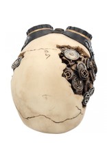 Alator Schedels - Schedel Goggles