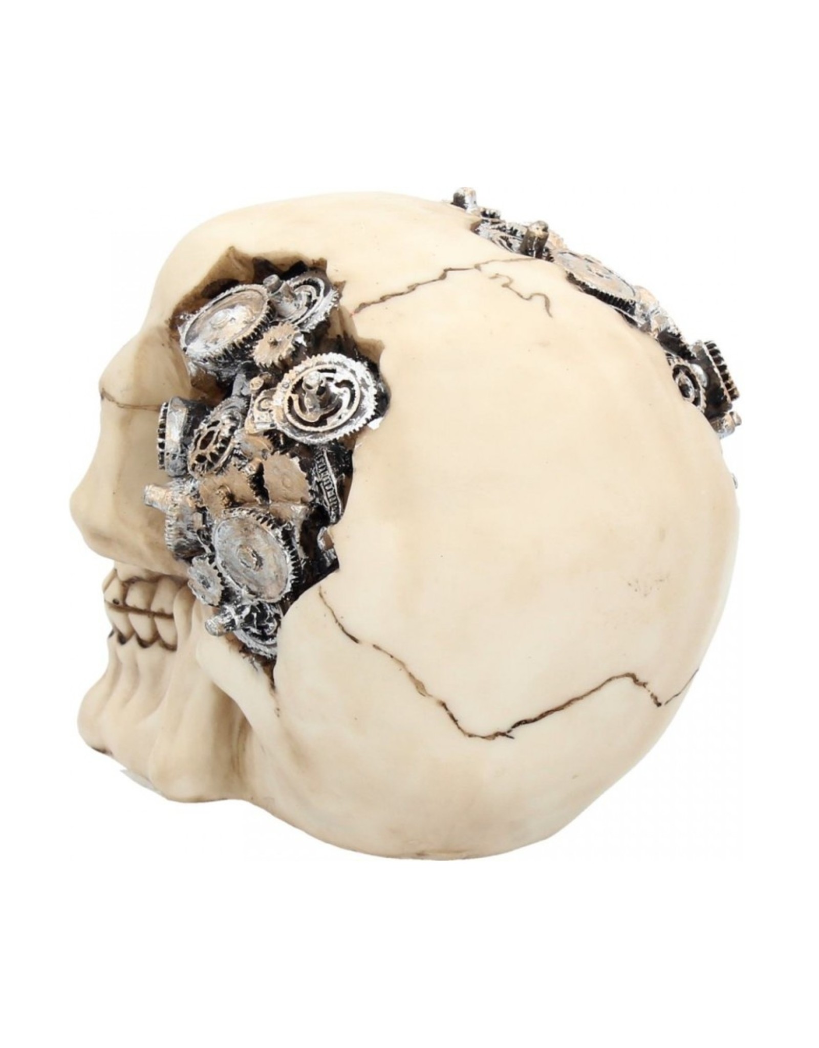 Alator Schedels - Schedel Clockwork Cranium