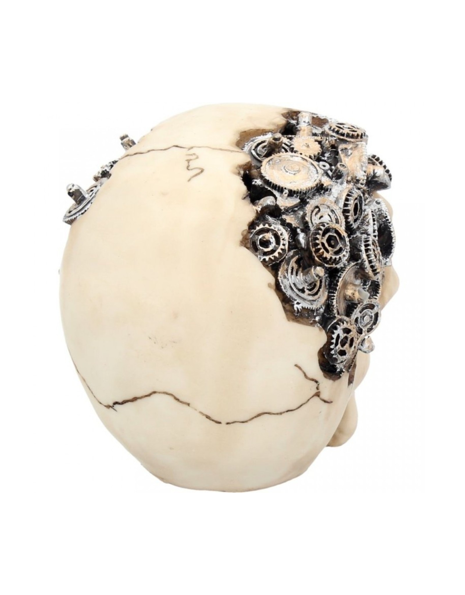 Alator Skulls - Skull Clockwork Cranium