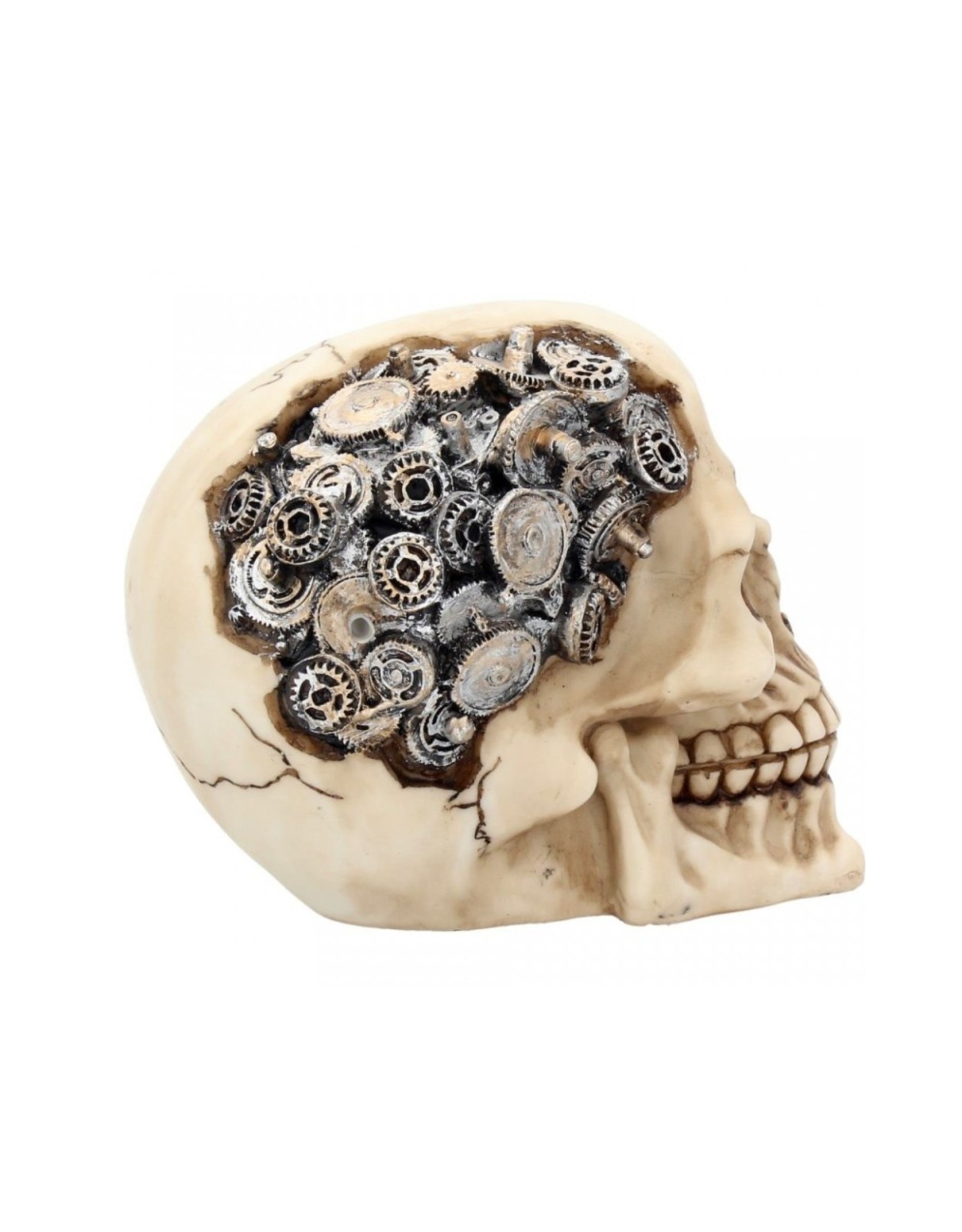 Alator Skulls - Skull Clockwork Cranium