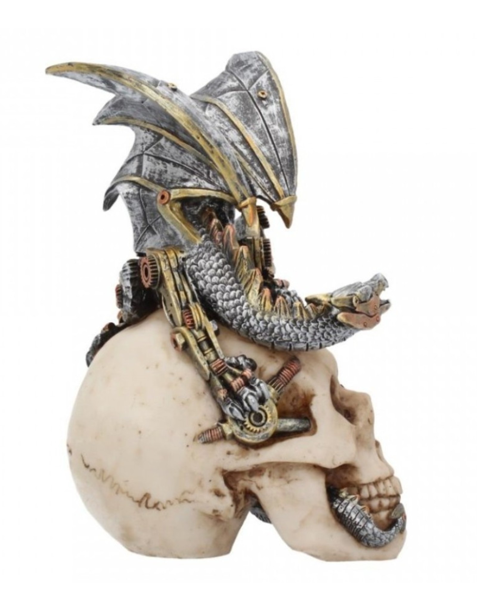 Alator Collectables -  Dragon on Skull Steel Wing