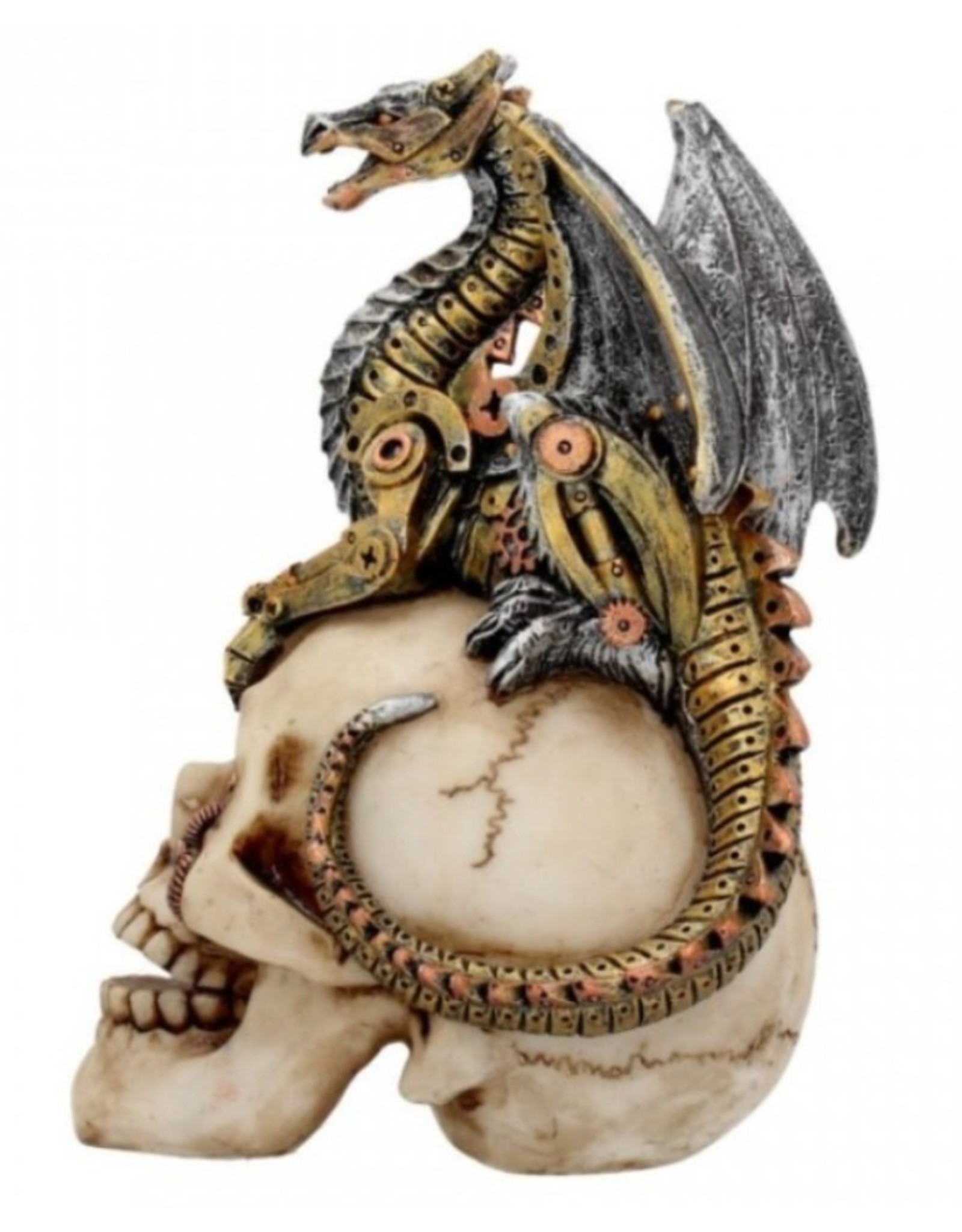 Alator Collectables - Skull with Dragon Dragon's Grasp