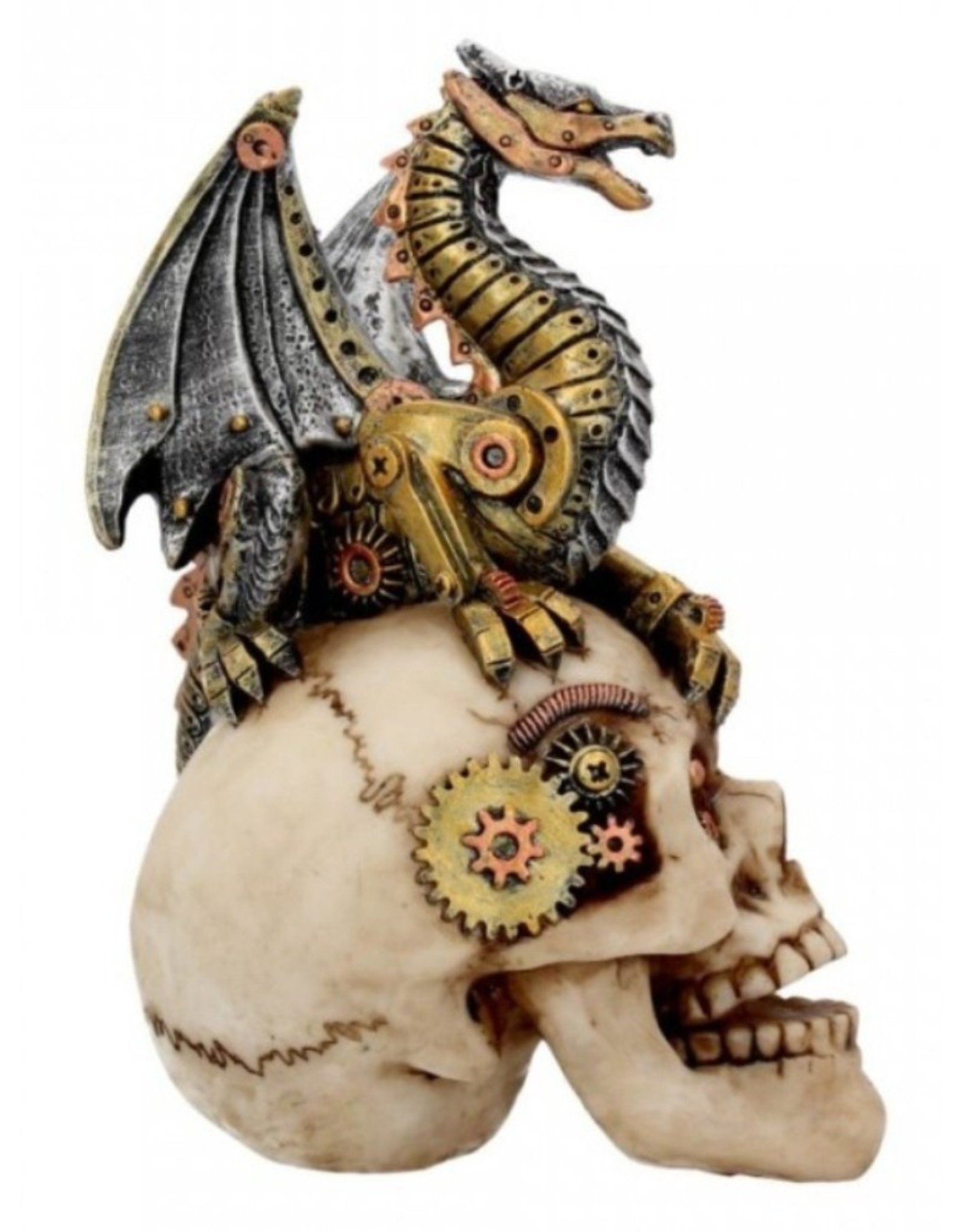 Alator Collectables - Schedel met draak Dragon's Grasp