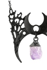 Restyle Gothic sieraden Steampunk sieraden - Ketting met kristal Branch Crescent (zwart)- Restyle