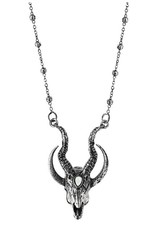 Restyle Gothic jewellery Steampunk jewellery - Gothic ketting 3D Crescent Skull - Restyle