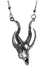 Restyle Gothic jewellery Steampunk jewellery - Gothic ketting 3D Crescent Skull - Restyle