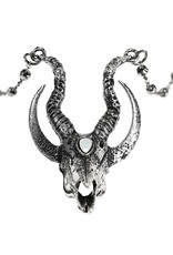 Restyle Gothic jewellery Steampunk jewellery - Gothic ketting 3D Crescent Skull - Restyle