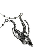 Restyle Gothic jewellery Steampunk jewellery - Gothic ketting 3D Crescent Skull - Restyle