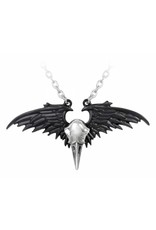 Alchemy Gothic jewellery Steampunk jewellery -  Raven skull necklace Ravenger - Alchemy