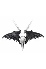 Alchemy Gothic sieraden Steampunk sieraden - Raven Schedel ketting Ravenger - Alchemy