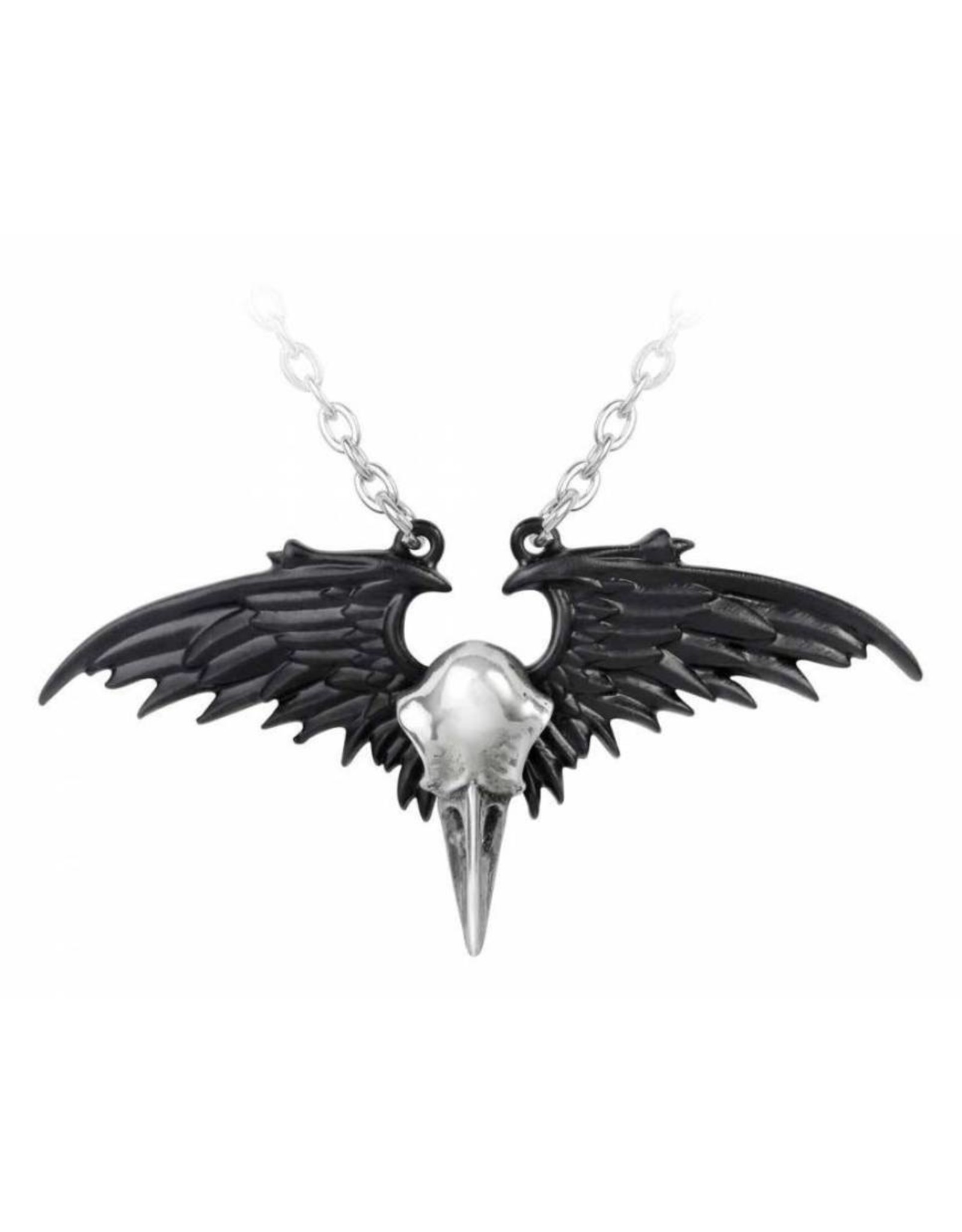 Alchemy Gothic jewellery Steampunk jewellery - Raven skull necklace  Ravenger - Alchemy