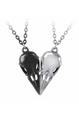 Alchemy Gothic jewellery Steampunk jewellery -  Friendship necklace Coeur Crane - Couple's - Alchemy