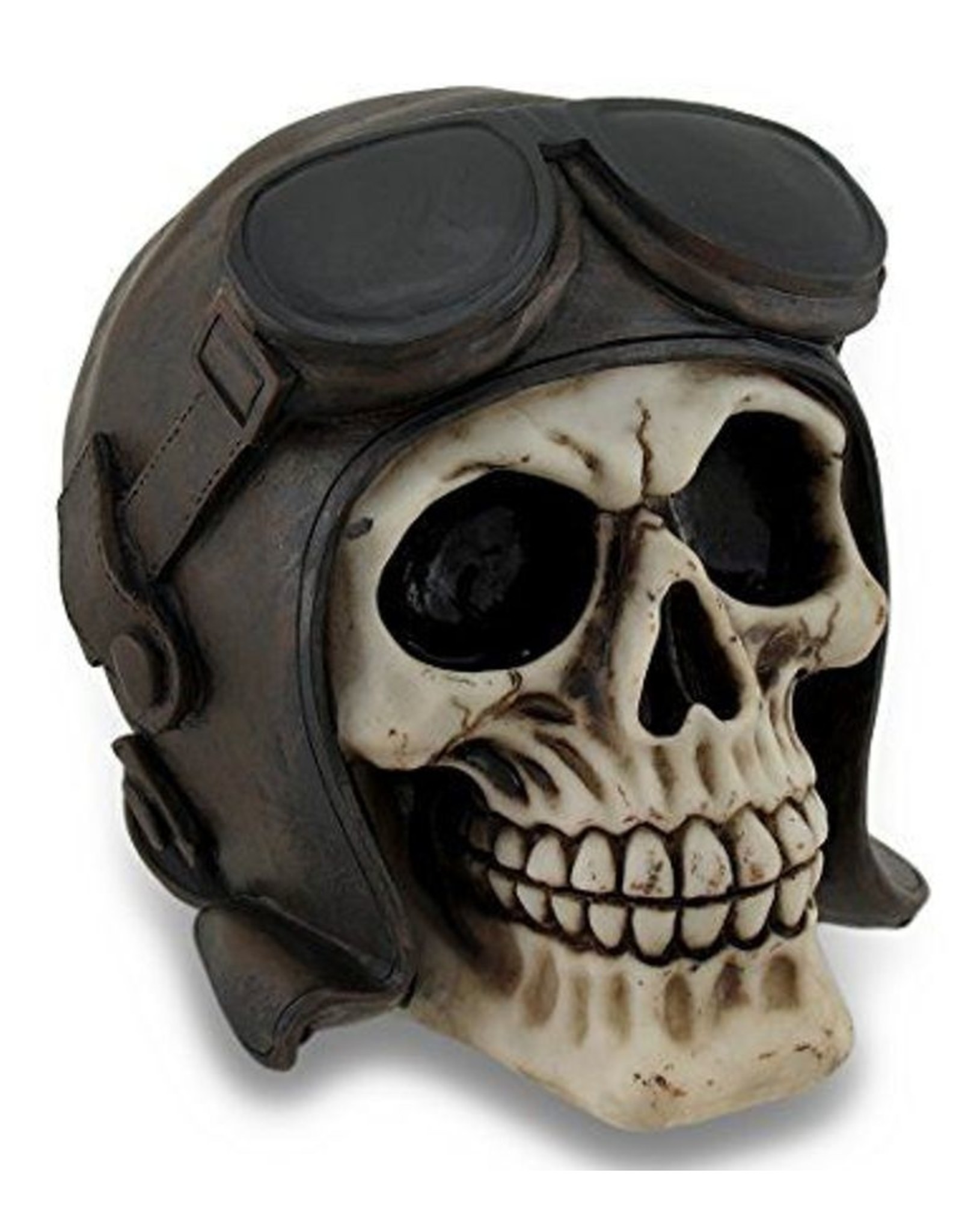 Dark Desire Gothic accessoires - Schedel Helm met Goggles