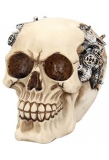 Alator Schedels - Schedel Clockwork Cranium