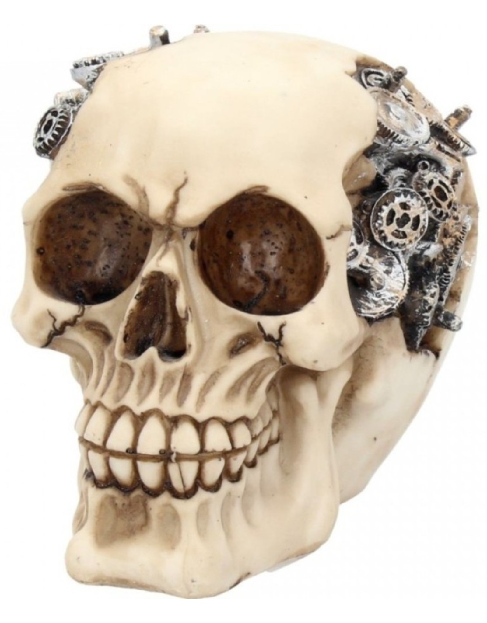 Alator Skulls - Skull Clockwork Cranium