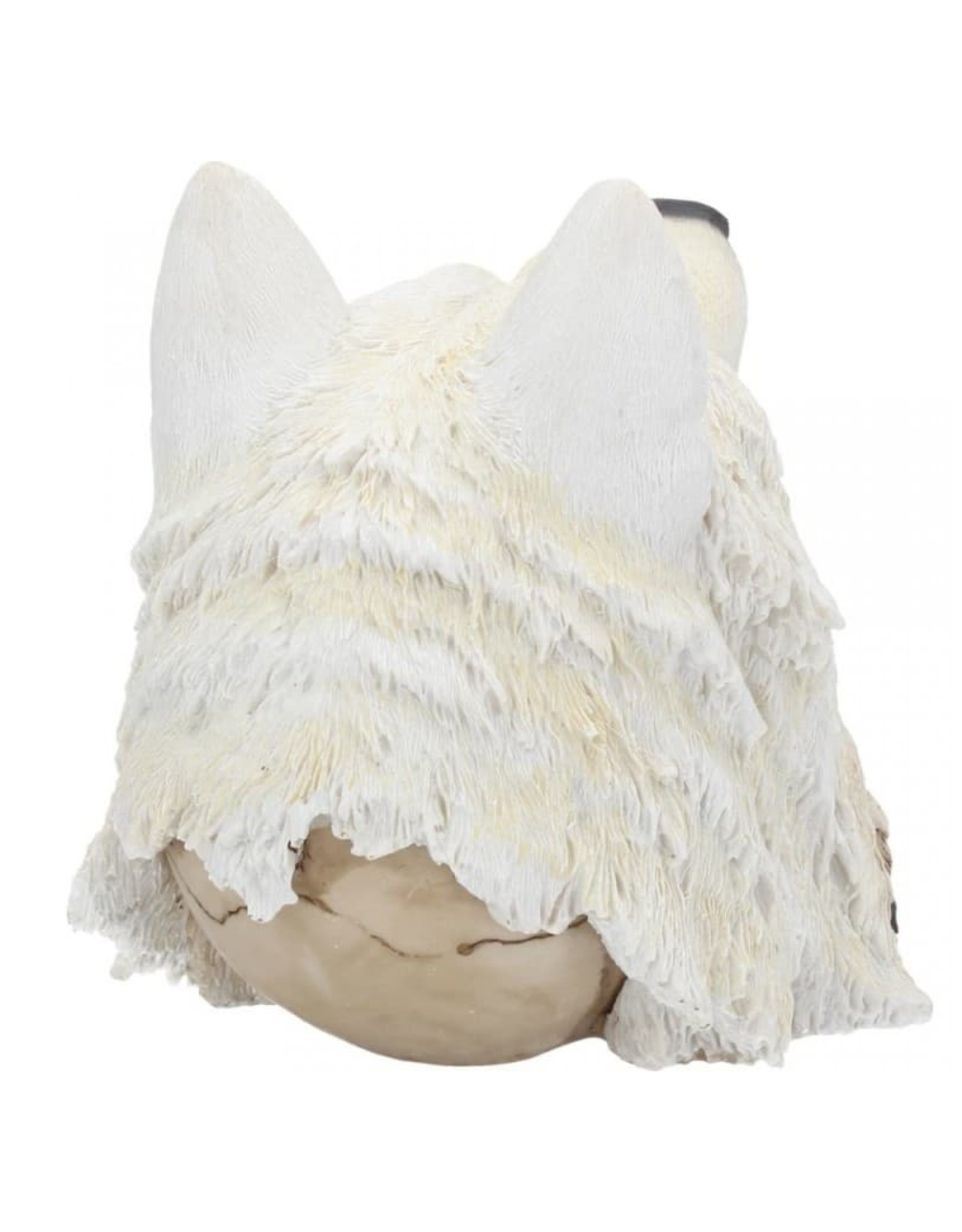 Alator Schedels - Schedel Night Wolf - Nemesis Now