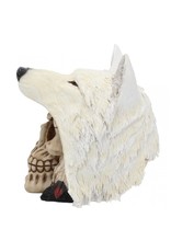 Alator Schedels - Schedel Night Wolf - Nemesis Now