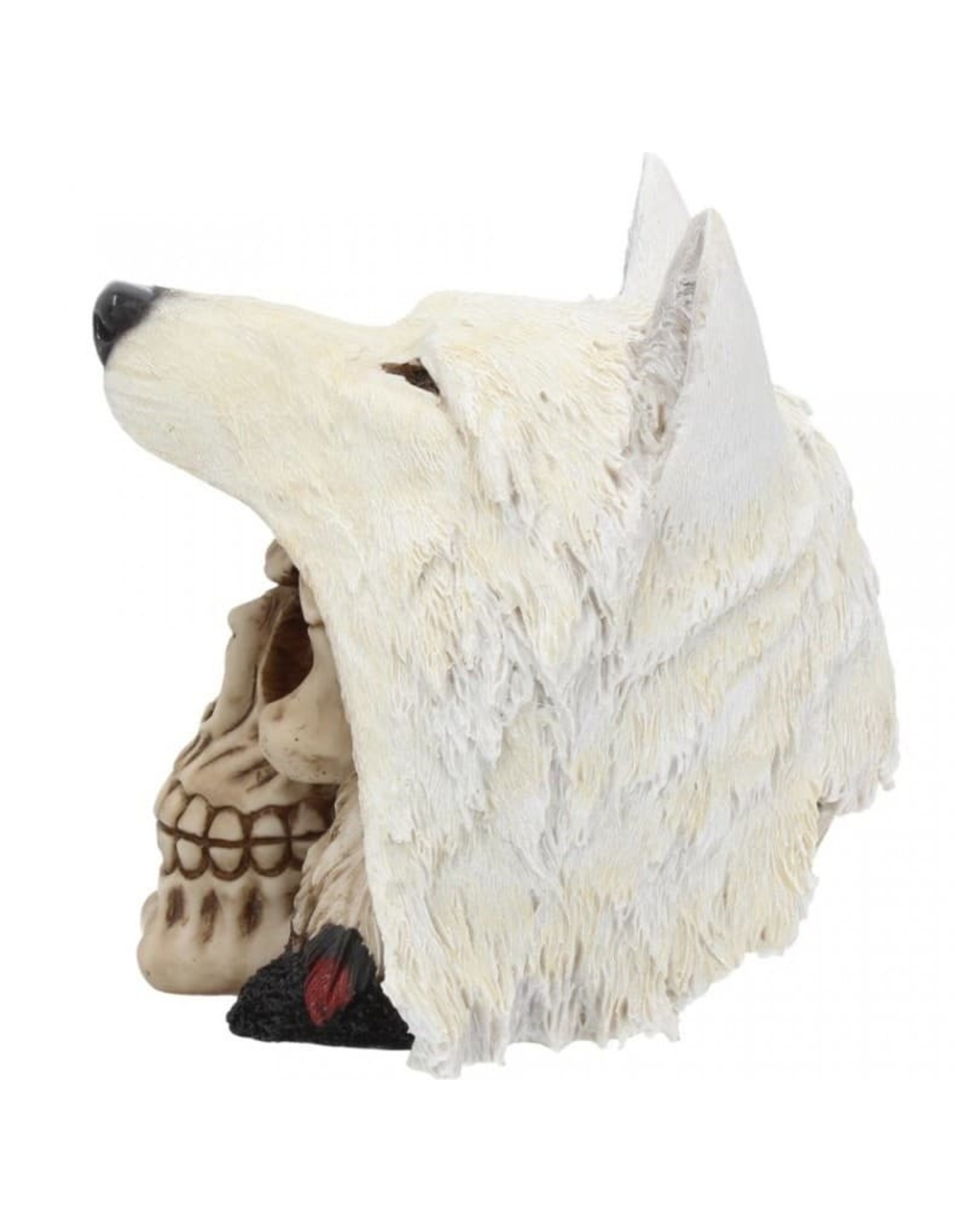 Alator Schedels - Schedel Night Wolf - Nemesis Now