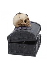 Alator Gothic and Steampunk accessories - Dark Shroud Bat & Skull Treasure Chest - Nemesis Now