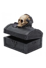 Alator Gothic and Steampunk accessories - Dark Shroud Bat & Skull Treasure Chest - Nemesis Now
