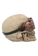 Alator Skulls - Steampunk Skull Visionary - Nemesis Now