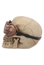 Alator Skulls - Steampunk Skull Visionary - Nemesis Now