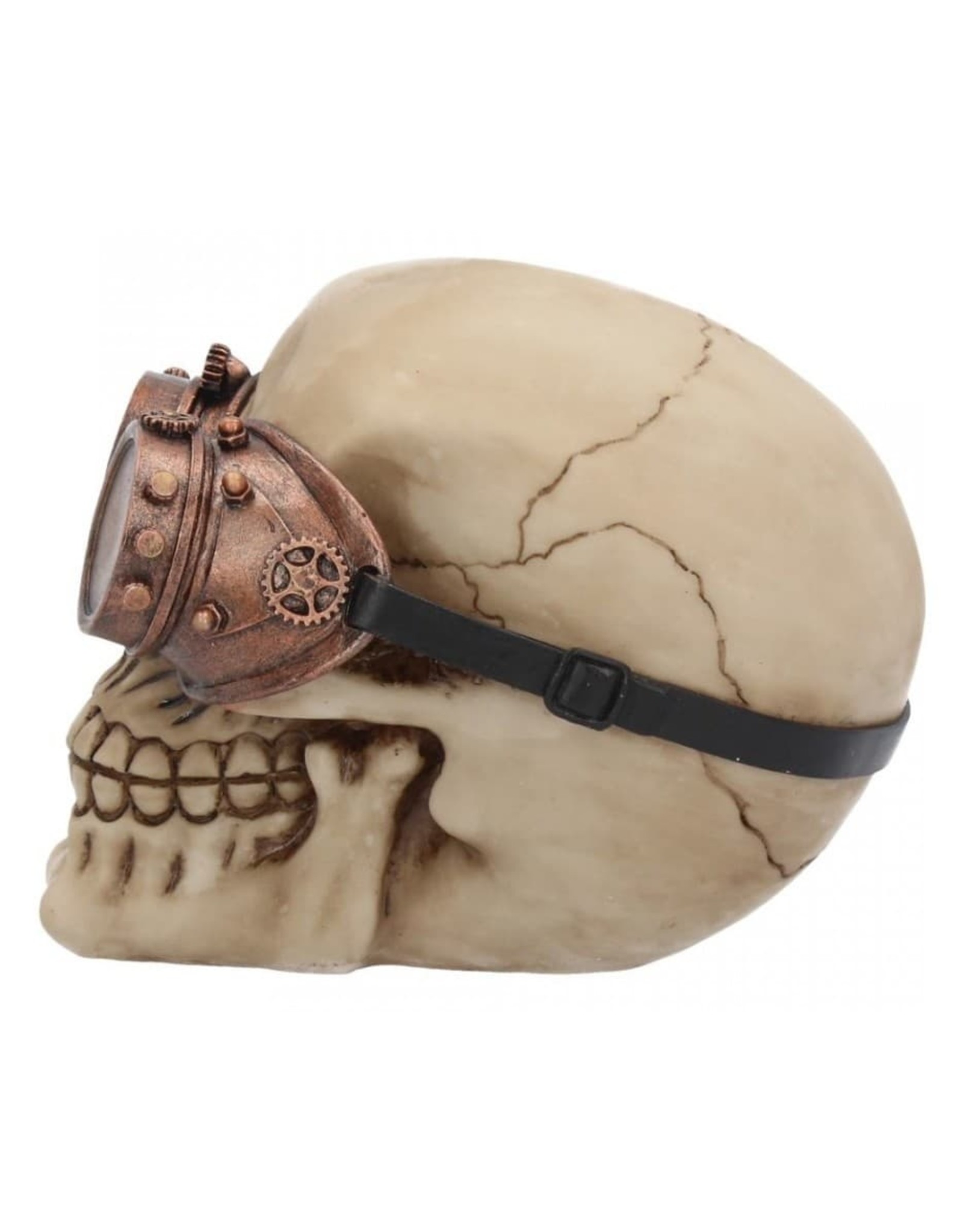 Alator Skulls - Steampunk Skull Visionary - Nemesis Now