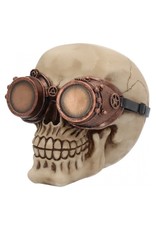 Alator Skulls - Steampunk Skull Visionary - Nemesis Now
