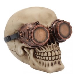 Alator Steampunk Skull Visionary - Nemesis Now