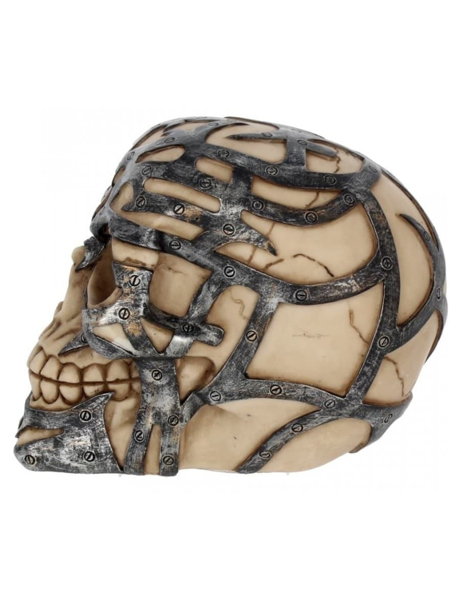 Alator Skulls - Skull Tribal Iron