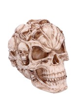 James Ryman Schedels - Skull of Skulls schedel van James Rayman - Nemesis Now