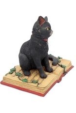 Alator Collectables - Fantasy Figurine Black Cat met open book Eclipse - Lisa Parker