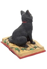 Alator Collectables - Fantasy Figurine Black Cat met open book Eclipse - Lisa Parker