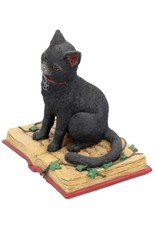 Alator Collectables - Fantasy Figurine Black Cat met open book Eclipse - Lisa Parker