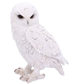 Alator Snowy Watch White Owl figurine Large( 20 cm) - Nemesis Now