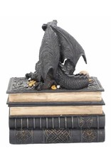 Alator Gothic and Steampunk accessories - Gothic jewelry box Secrets of the Dragon